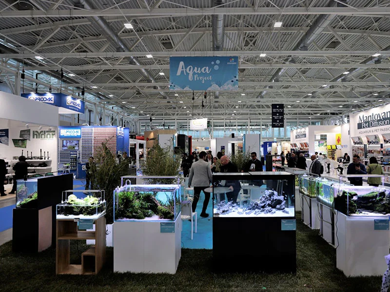 Illuminated aquariums and terrariums displayed across the Aqua Project area at Zoomark.
